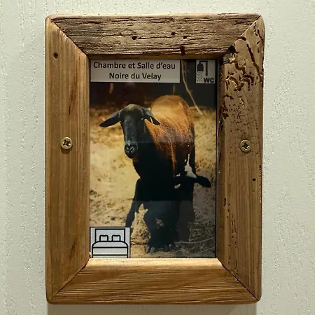 Semesterbostad Les Sources, 9 Pers, 11 Couchages - Arlempdes, Classe Un Des Beaux Villages De France Arlempdes