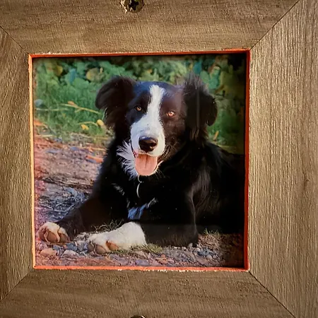 Semesterbostad Les Sources, 9 Pers, 11 Couchages - Arlempdes, Classe Un Des Beaux Villages De France Arlempdes