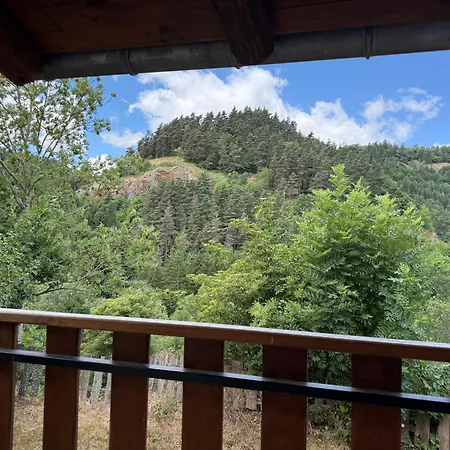 Les Sources, 9 Pers, 11 Couchages - Arlempdes, Classe Un Des Beaux Villages De France Semesterbostad *